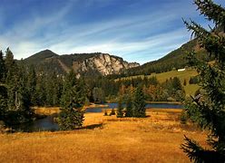 嘂怎么读(嘂嚻龘靐龖龘靐齉齾爩龗灪龖厵爨)