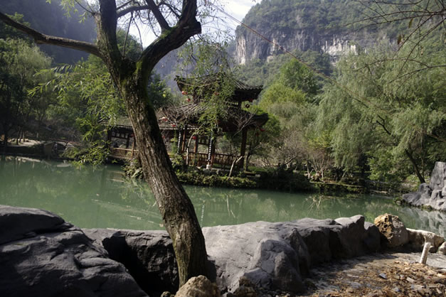 酉阳怎么读(酉阳怎么读拼音) 酉阳怎么读(酉阳怎么读拼音)