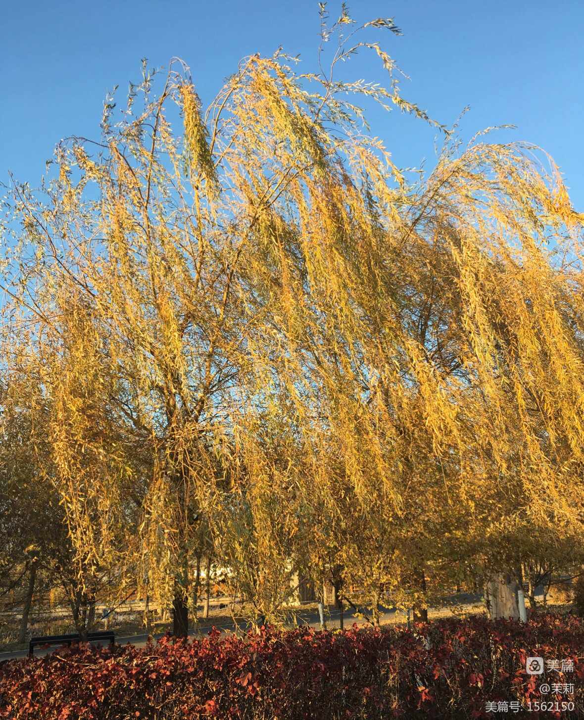 什么的秋风(什么的秋风填空三年级) 什么的秋风(什么的秋风填空三年级)