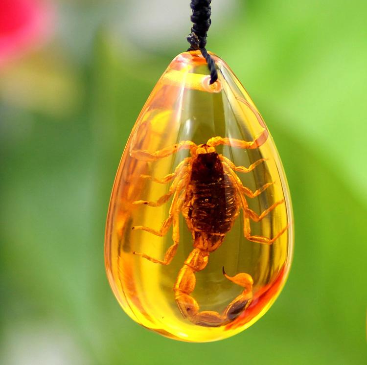 蝎子英语(毒蝎用英语怎么说) 蝎子英语(毒蝎用英语怎么说)