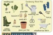 花园英语(花园英语拼写)